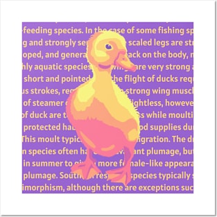 Duck Info Posters and Art